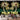 Coconut Grove Records Fashion Wall Haning Decoration Tapestry