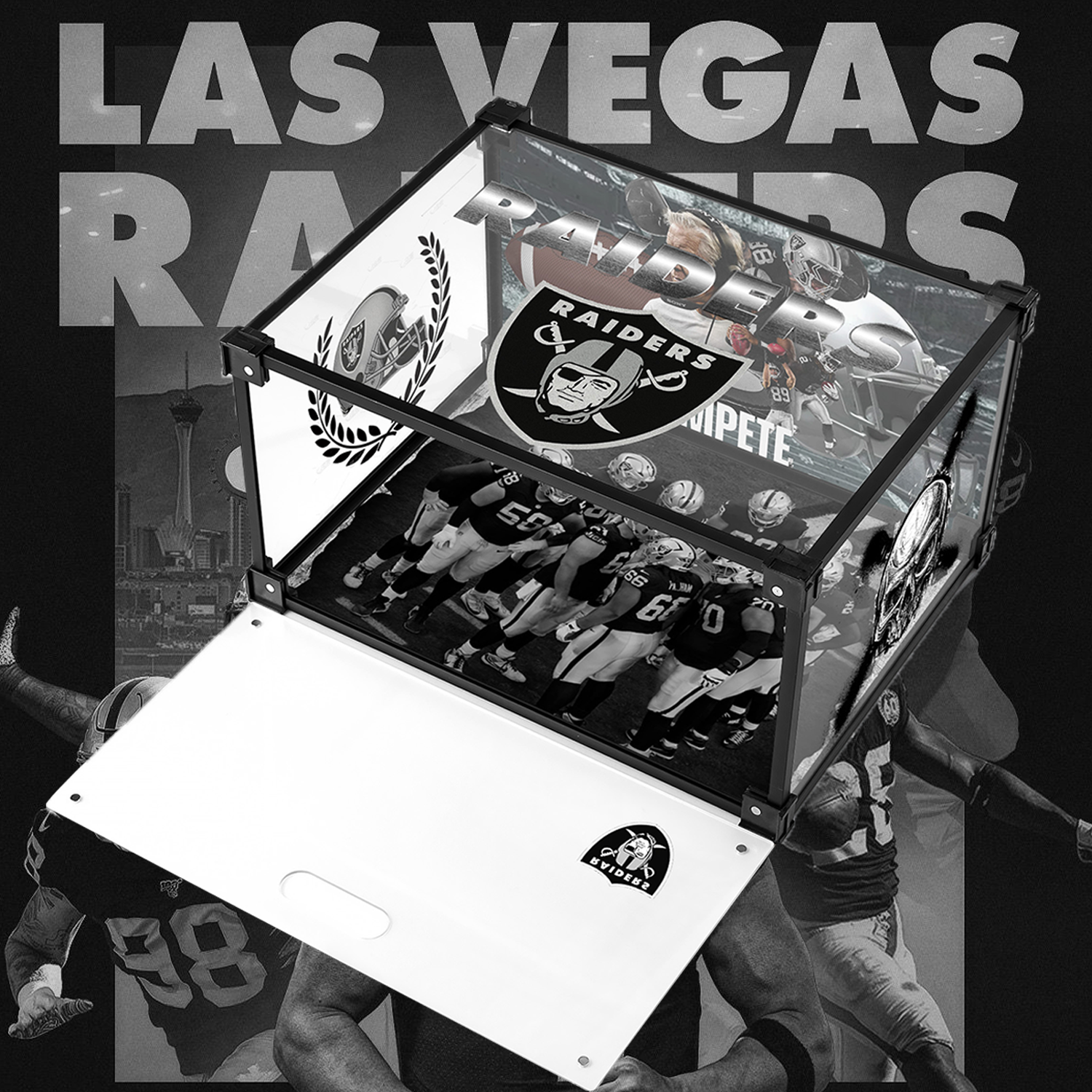 Las Vegas Raiders Acrylic Custom Display Shoe Box