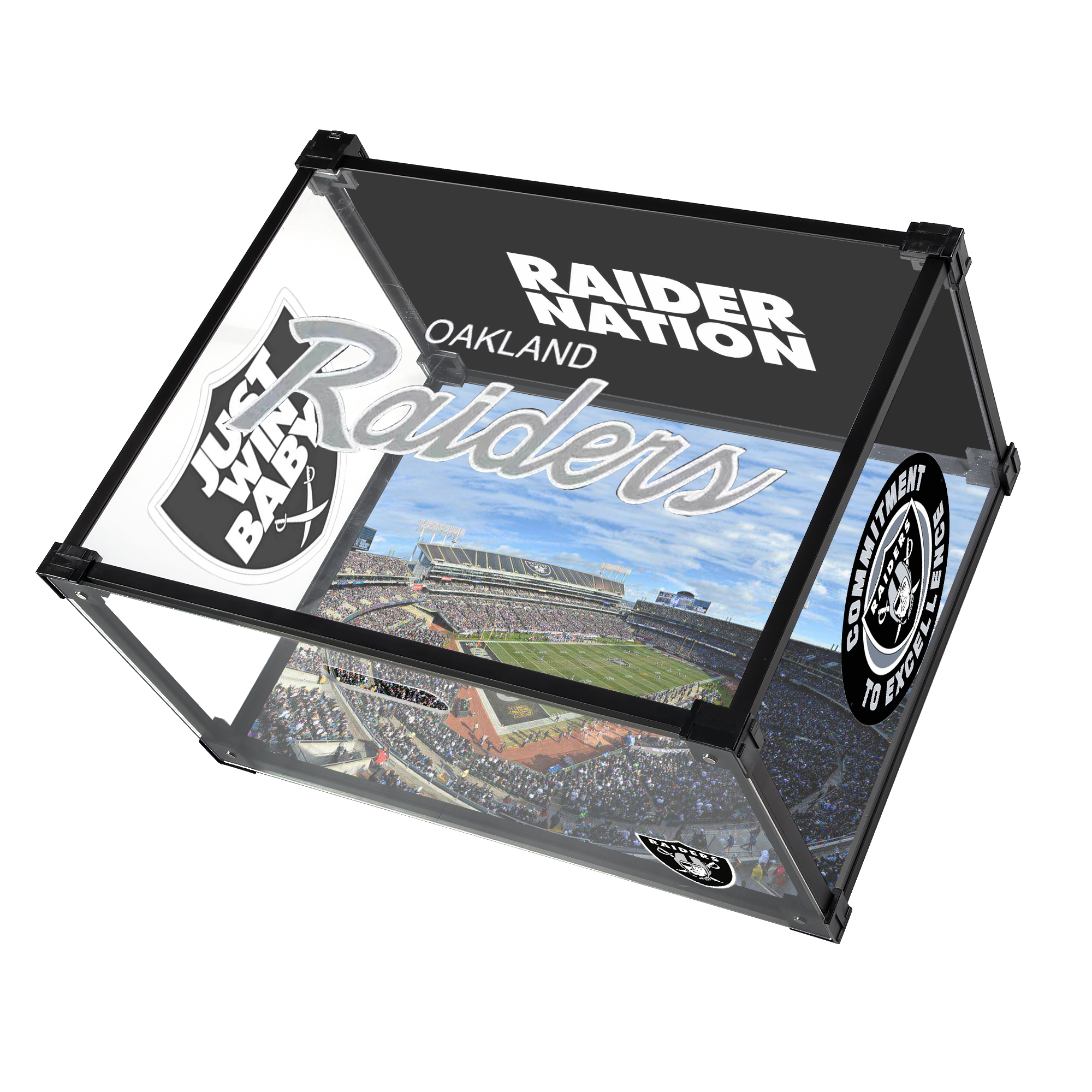 Las Vegas Raiders Acrylic Custom Display Shoe Box
