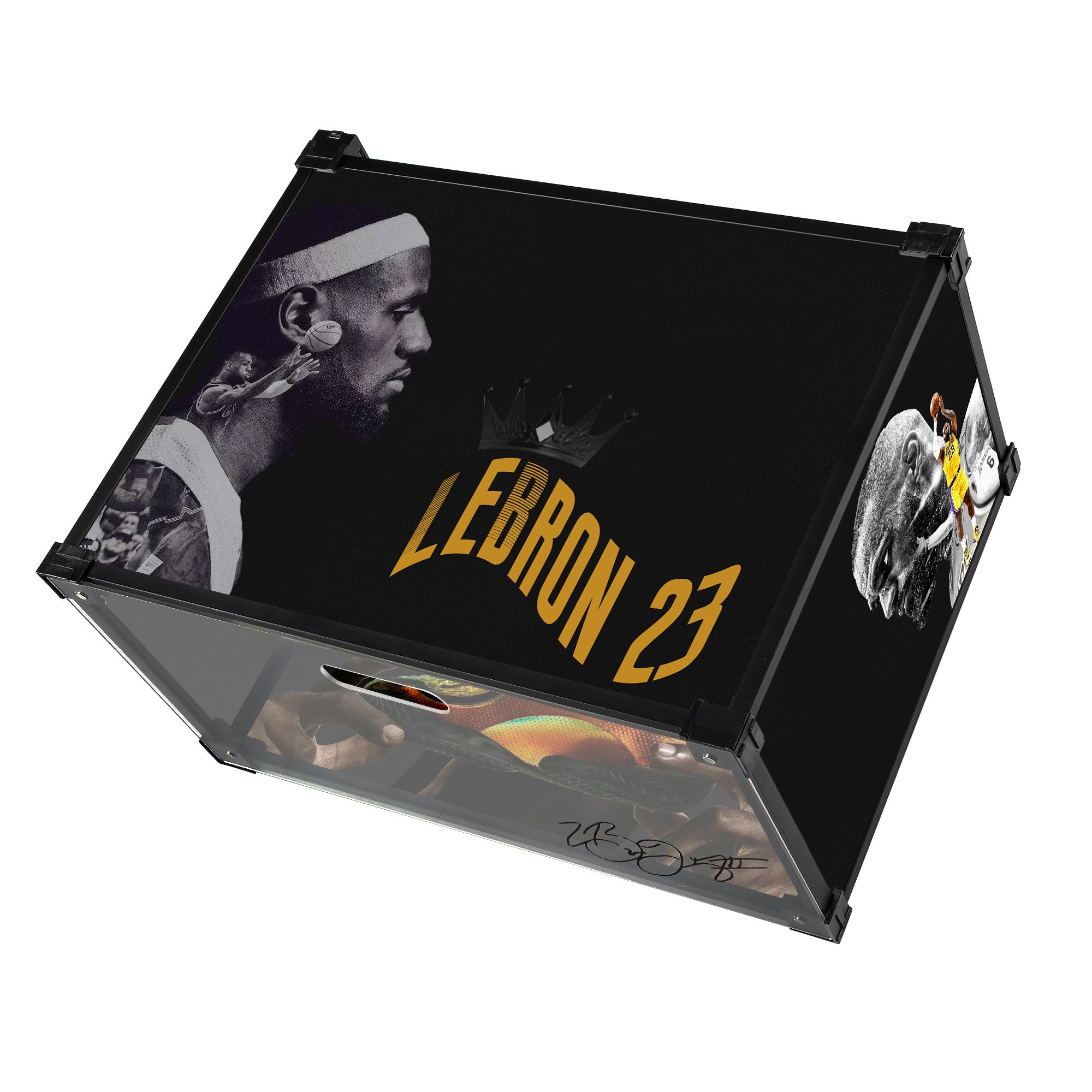 LeBron 23 40K Gold Acrylic Custom Display Shoe Box