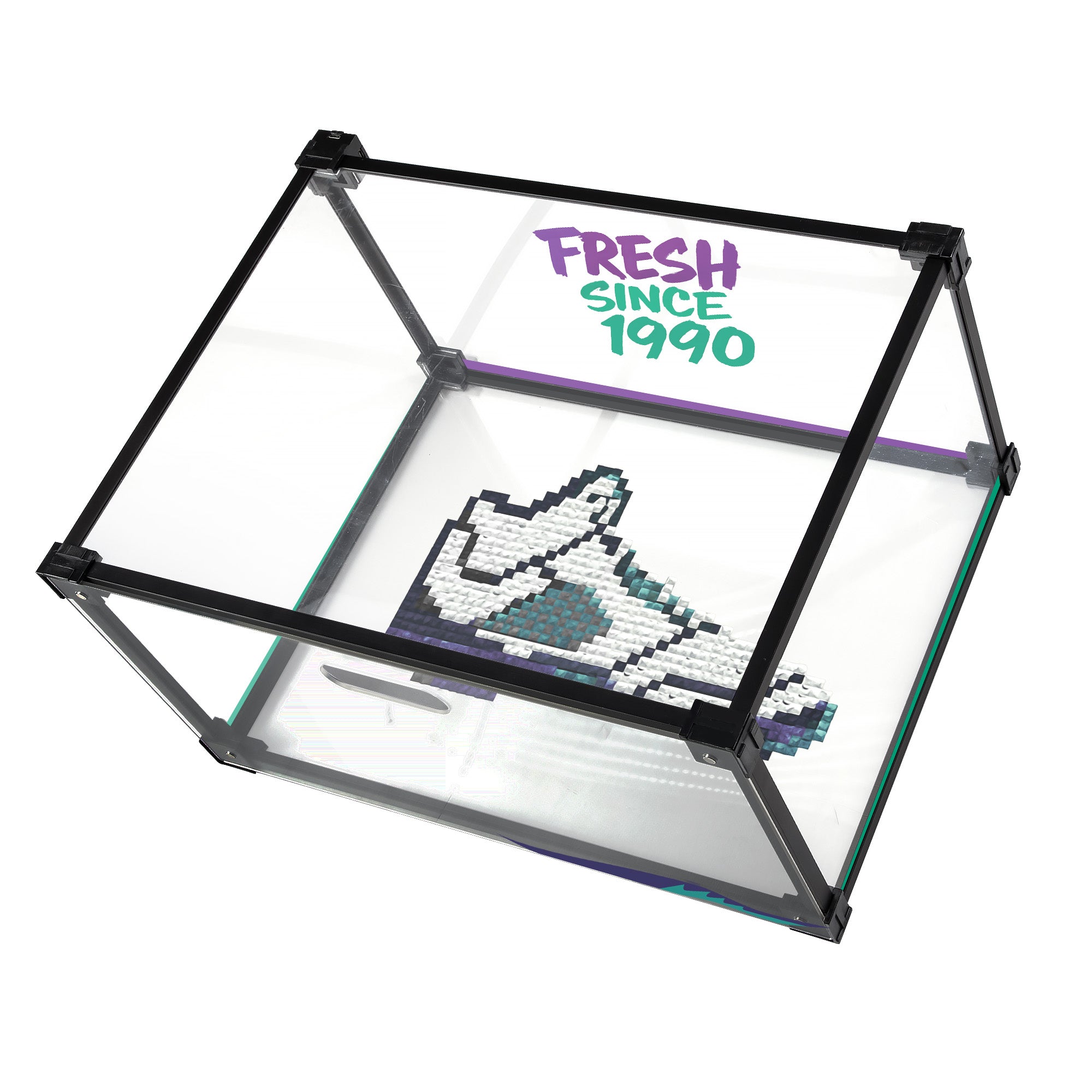 AJ5 Grape Custom Acrylic Shoe Display Box
