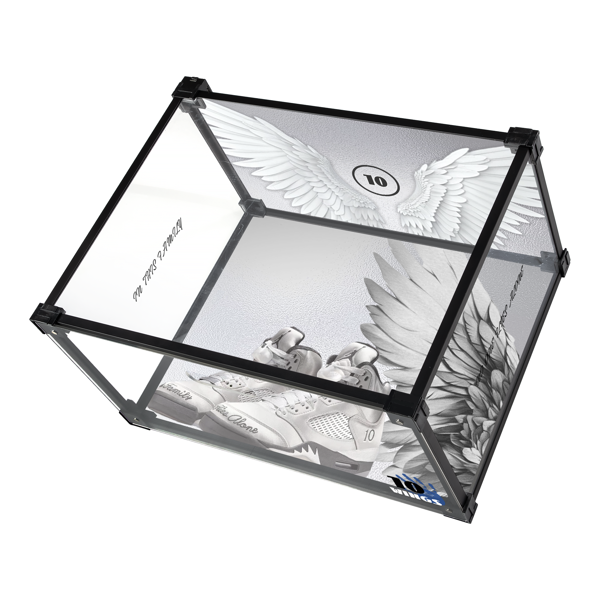 Ten Wings: Flight Edition Custom Acrylic Shoe Display Box