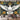 Star Pigeon Language Fashion Wall Haning Decoration Tapestry