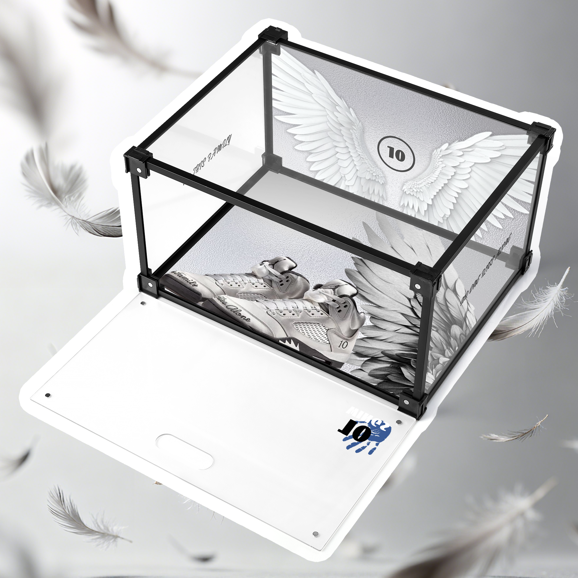 Ten Wings: Flight Edition Custom Acrylic Shoe Display Box