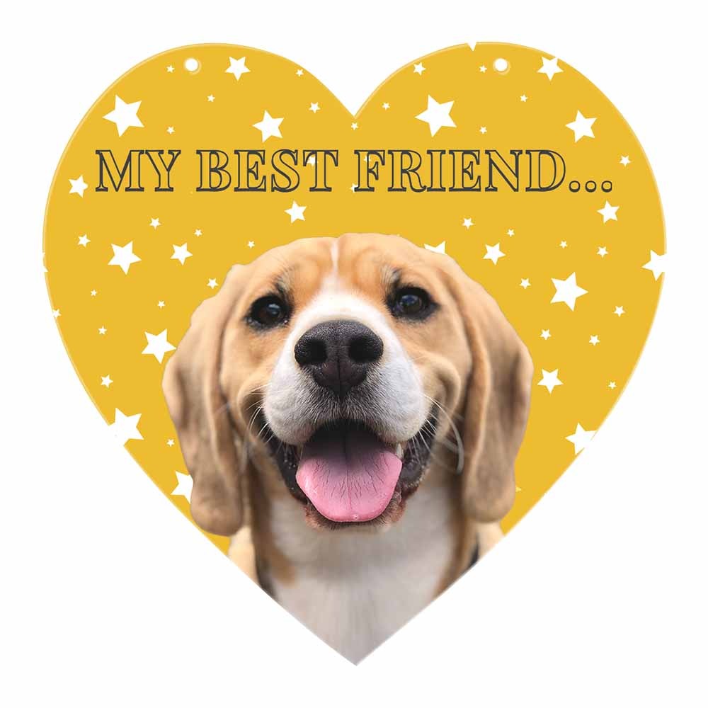 Custom Heart-Shaped Acrylic Pendant