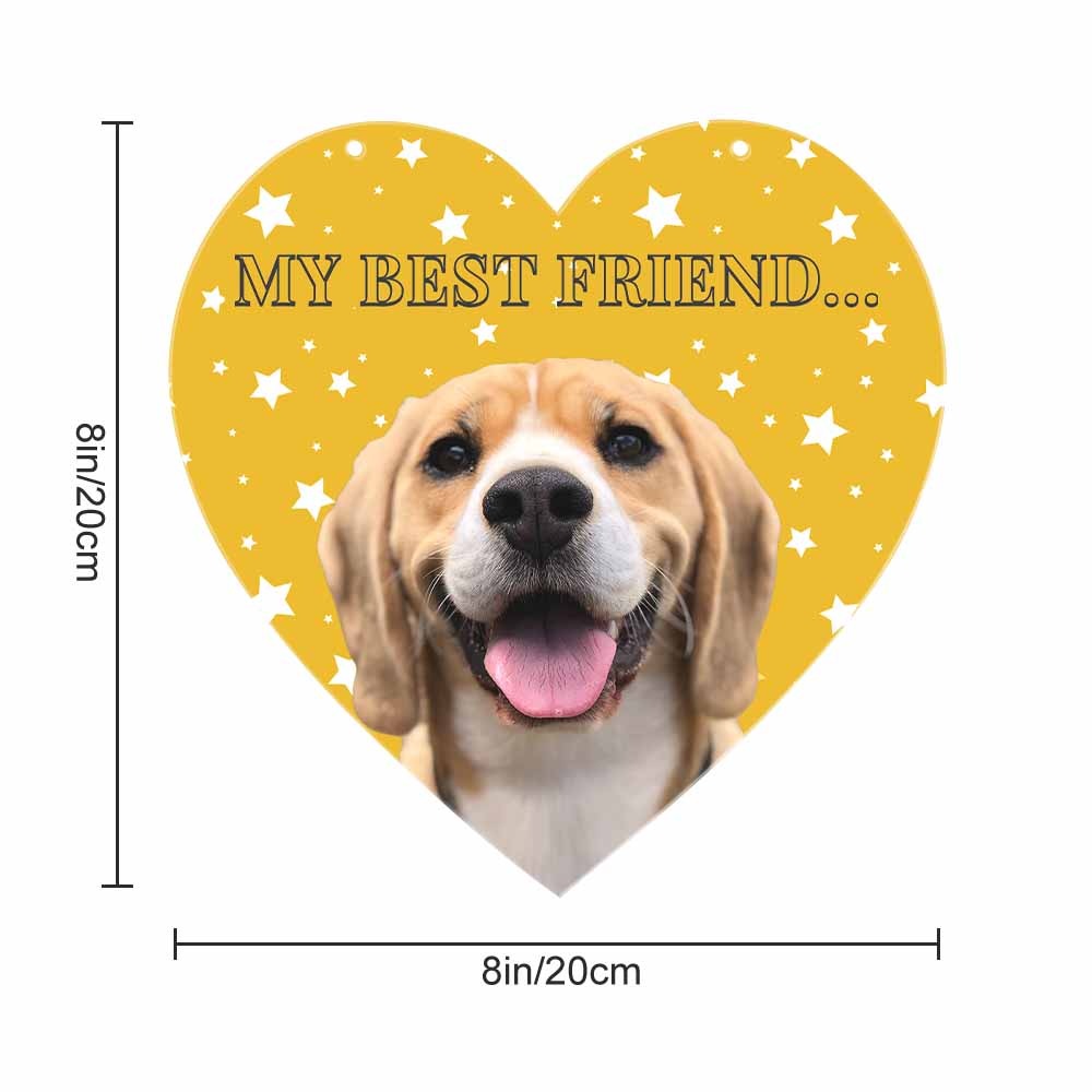 Custom Heart-Shaped Acrylic Pendant